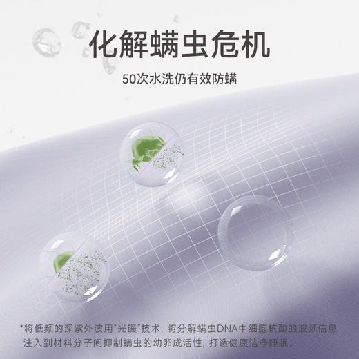 秋款95%棉长袖宽松家居服套装 A-4177芬腾 商品图5