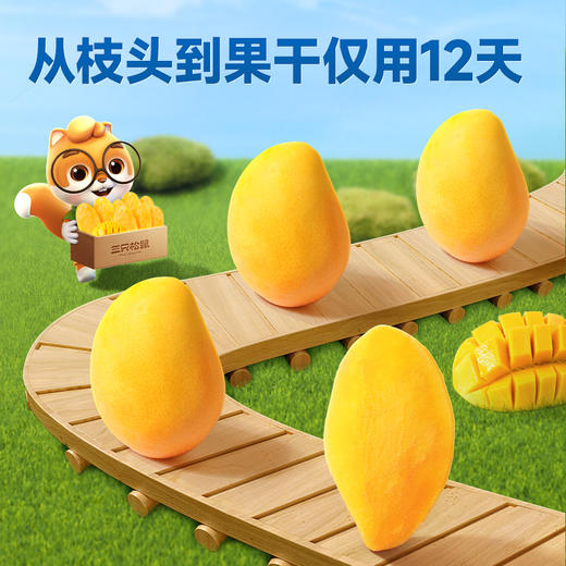 量贩袋装_芒果干/++/500g-zl 商品图5