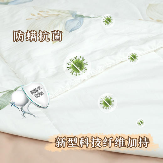 钱皇  水芙蓉蚕丝夏凉被 商品图4
