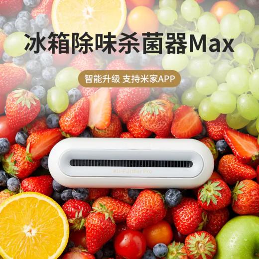 EraClean 世净冰箱除味净化器 多功能去菌棒（冰箱除味，便携式除菌箱） 商品图1