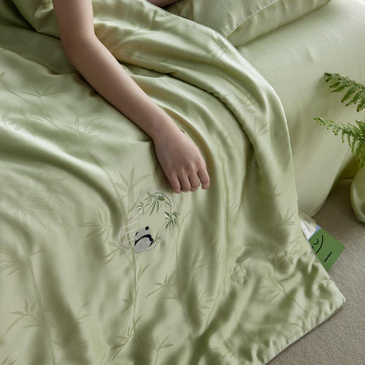 自然醒60支熊有成竹奥地利天丝提花刺绣夏被夏季丝滑凉爽空调被四件套可水洗薄被子TD 商品图14
