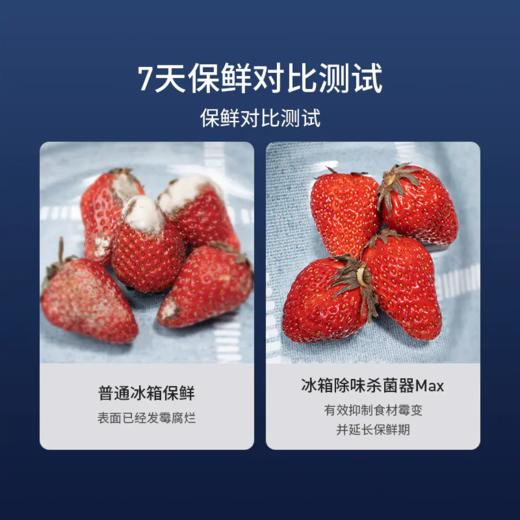 EraClean 世净冰箱除味净化器 多功能去菌棒（冰箱除味，便携式除菌箱） 商品图3