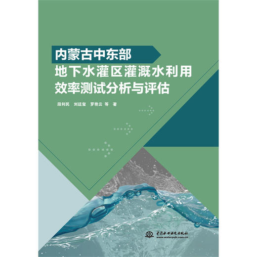 内蒙古中东部地下水灌区灌溉水利用效率测试分析与评估 商品图0