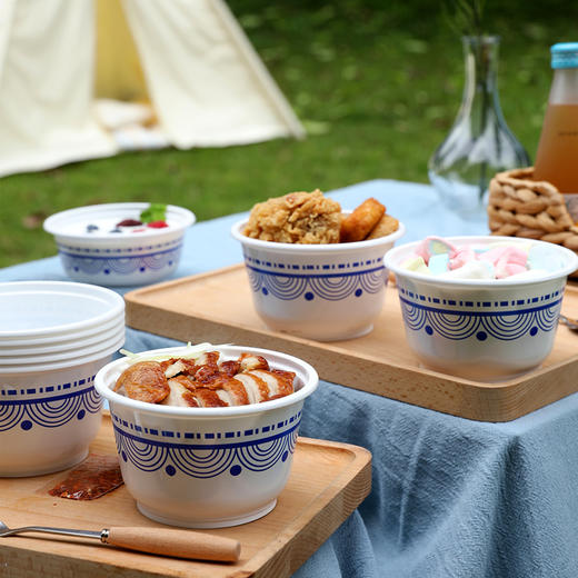 美丽雅一次性青花碗470ml*20只 商品图10