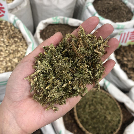 伸筋草 商品图4