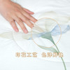 钱皇  水芙蓉蚕丝夏凉被 商品缩略图5