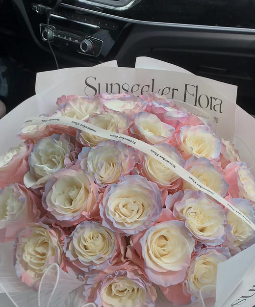 【3.23到货】厄瓜多尔 北极光（欧若拉）Aurora Boreal 10枝/扎 商品图0