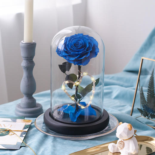 小王子玫瑰永生花 商品图0