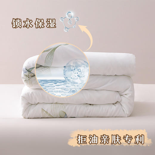 钱皇  水芙蓉蚕丝夏凉被 商品图2