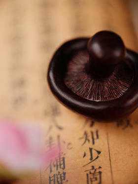 小叶紫檀蘑菇 【器悟雅玩】