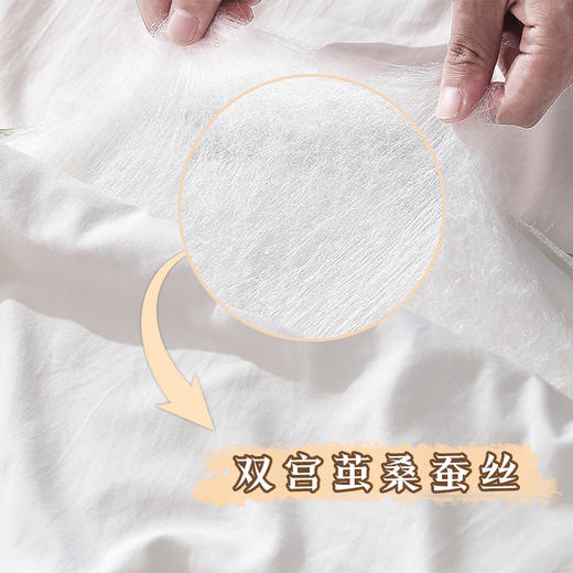 钱皇  水芙蓉蚕丝夏凉被 商品图3