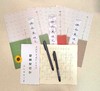 《快而美硬笔字》初级套装-LT 商品缩略图1