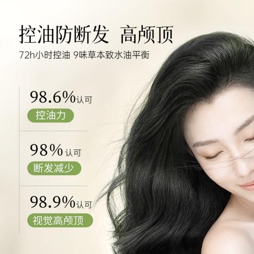 【控油 防脱】中药植物草本洗发水 控油蓬松 沙发防脱 侧伯叶 （买就送4袋试用装小样） 商品图4
