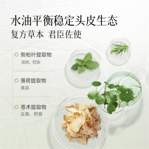 【控油 防脱】中药植物草本洗发水 控油蓬松 沙发防脱 侧伯叶 （买就送4袋试用装小样） 商品图5
