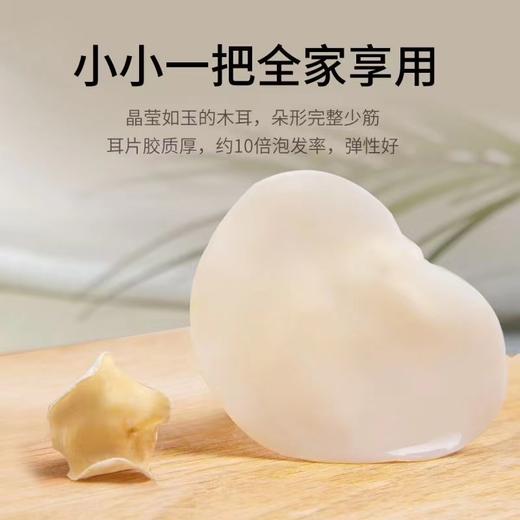 【色泽如玉！白玉木耳】木耳中的“白富美”-东北白玉木耳，晶莹剔透 口感清脆嫩，干木耳小碗耳小木耳干货Y 商品图1