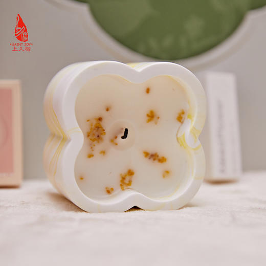 SAINTJOY/上久楷礼盒 融洽无间  栽培系香薰   真丝双面长巾CJS23070-1 商品图10