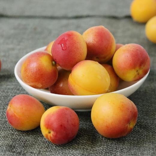 吊干杏  约500g /份 /份 商品图2