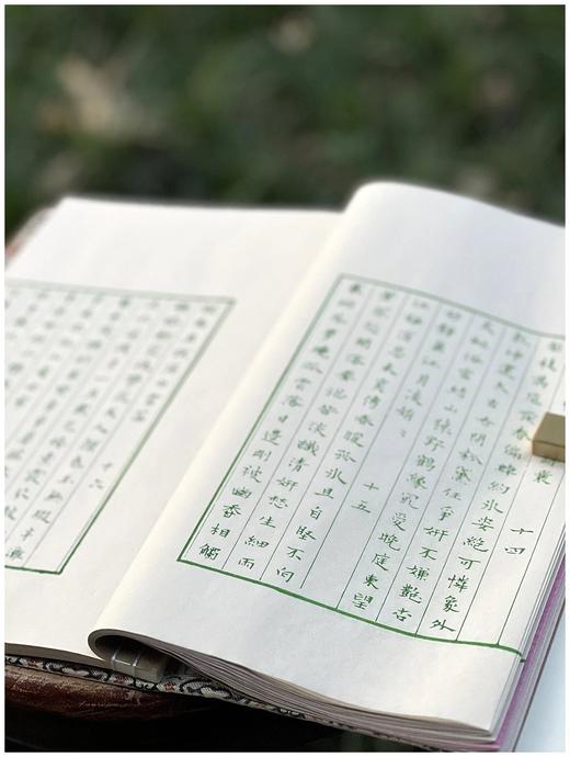 雕版绿印本！！《张充和手书上板梅花律诗集句》，线装一函一册，张充和手书，周小英跋文，沈树华雕刻，售价420元。 商品图7