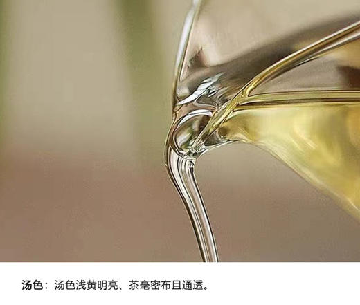 福鼎白茶 | 小城之春 2024年 磻溪核心产区 自然山物 一级白牡丹 60g/盒 商品图1