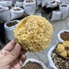 银耳  形紧密小巧，泡发后柔软洁白，半透明，含胶质高，富有弹性 商品缩略图4