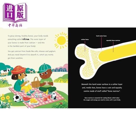 【中商原版】鲁帕博士的人体书 超级骷髅 Dr Roopas Body Books The Super Skeleton 英文原版 儿童科普绘本 自然科学知识图书 商品图2
