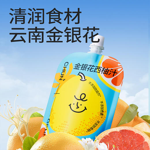 纯耕金银花柚子汁金银花西柚汁， 宝宝爱喝、酸酸甜甜果汁清凉不上火清润2.0L一箱（20袋一箱）量贩装；100mL每袋 商品图3