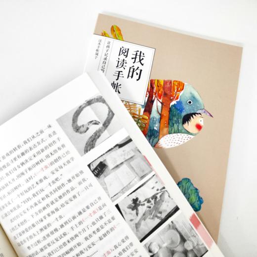 【3折】陪孩子爱阅读 20个家庭的亲子阅读之旅 附赠106页原创定制阅读手帐 商品图2