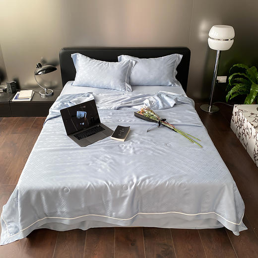 自然醒60支向晚奥地利天丝提花夏被轻奢高级感夏被四件套简约风夏天床上用品TD 商品图1