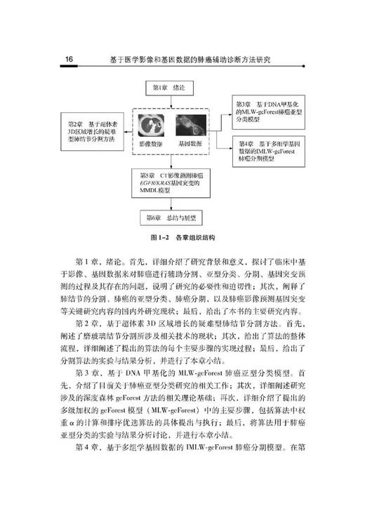 基于医学影像和基因数据的肺癌辅助诊断方法研究 基于超体素３Ｄ区域增长的疑难型肺结节分割方法 科学技术文献出版9787523514276  商品图4