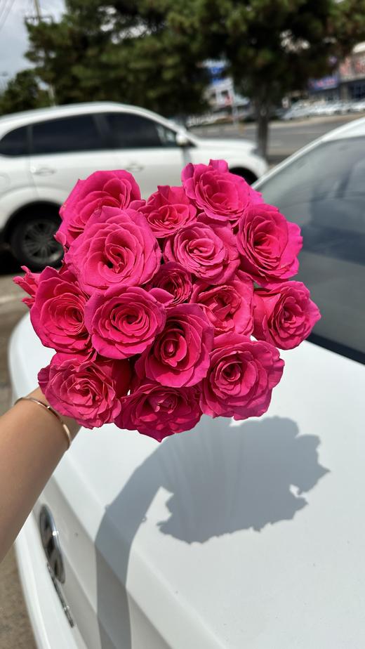 弗洛伊德8支 商品图1