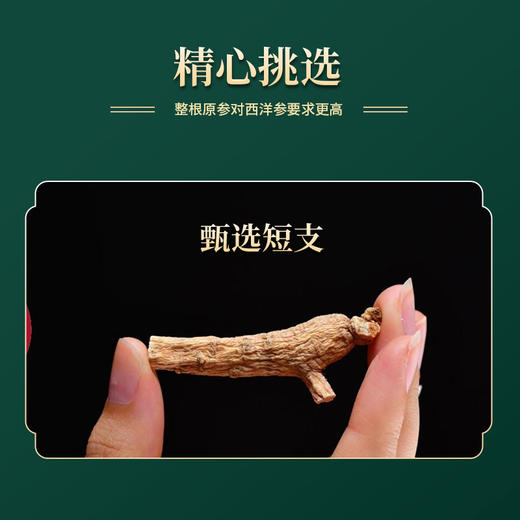 雷允上西洋参（短6-8克）200克起售 商品图1