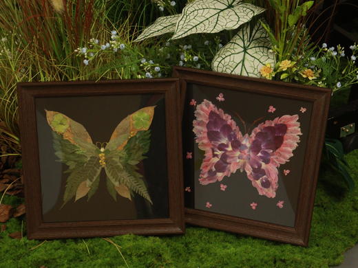 蝴蝶押花相框 商品图0