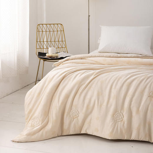 多喜爱 格雷雅轻奢柔肤舒适春秋被 商品图2