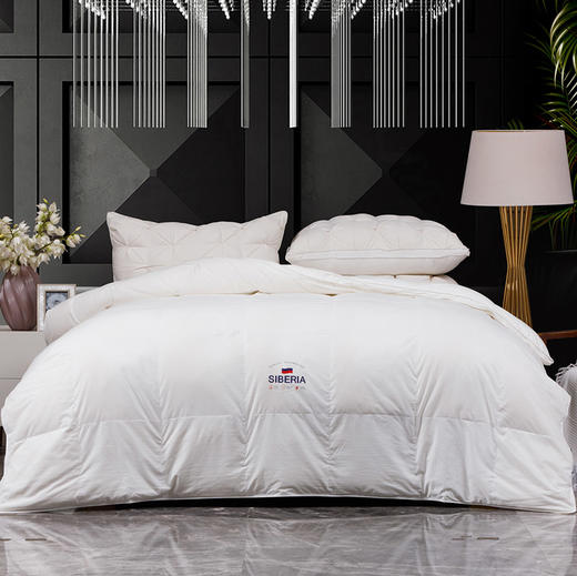 多喜爱 加倍保暖鹅享加厚冬被 商品图0