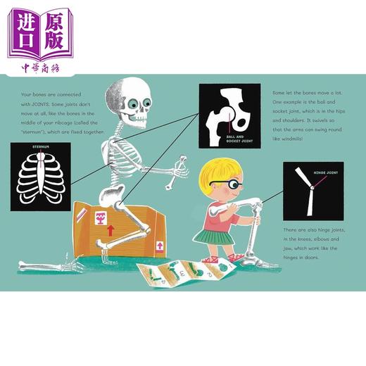 【中商原版】鲁帕博士的人体书 超级骷髅 Dr Roopas Body Books The Super Skeleton 英文原版 儿童科普绘本 自然科学知识图书 商品图3
