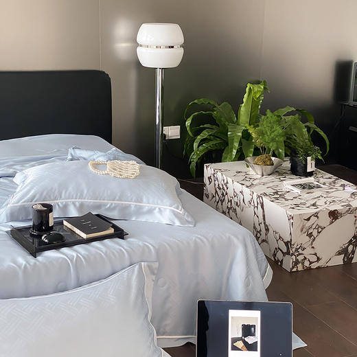 自然醒60支向晚奥地利天丝提花夏被轻奢高级感夏被四件套简约风夏天床上用品TD 商品图6