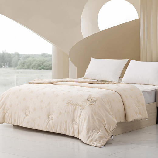 多喜爱 格雷雅轻奢柔肤舒适春秋被 商品图1