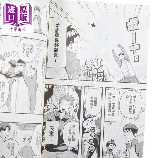 【中商原版】漫画 排球少年社团活动!!  3 宫岛京平 台版漫画书 东立出版 商品图3