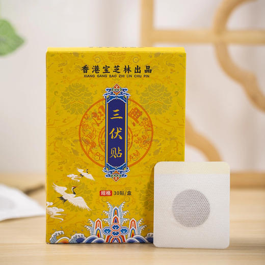 【买即赠1盒】香港宝芝林 三伏贴 30贴/盒 商品图4