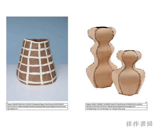 1000 Vases (Bilingual edition) / 1000个花瓶 商品图4