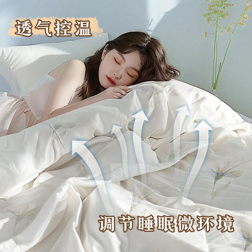 钱皇  水芙蓉蚕丝夏凉被 商品图1