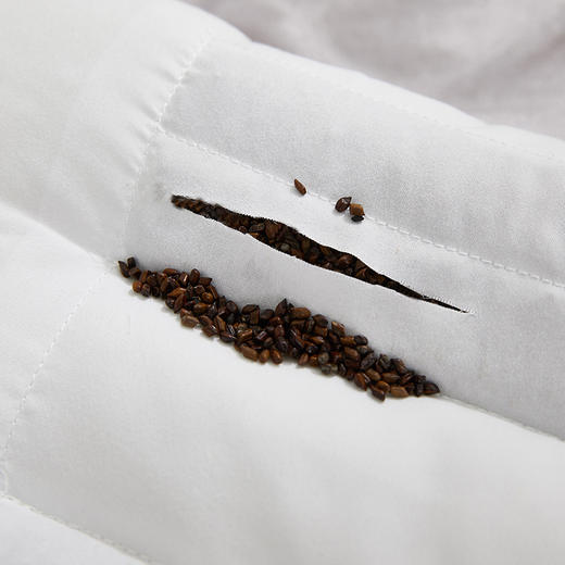 海基伦全棉儿童枕芯决明子婴幼儿枕头批幼儿园宝宝小整头可水洗 商品图2