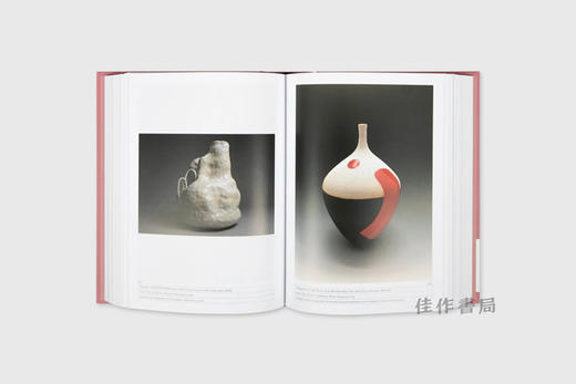 1000 Vases (Bilingual edition) / 1000个花瓶 商品图1