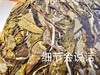 2023春  封印  花香寿眉  品鉴装  200克 磻溪镇 梨园村 商品缩略图1