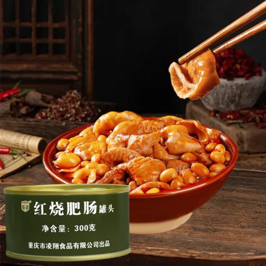 【美味鲜香 甄选肥肠】凌翔红烧肥肠300g/罐装 商品图0