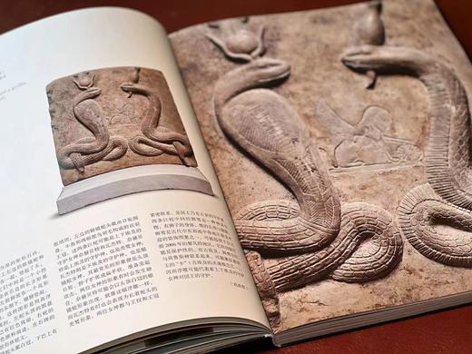 《金字塔之巅：古埃及文明》，褚晓波主编，小8开，软精装，238页，雅昌精印，上海书画出版社2024年7月一版一印。原价240，售价200元。 商品图8