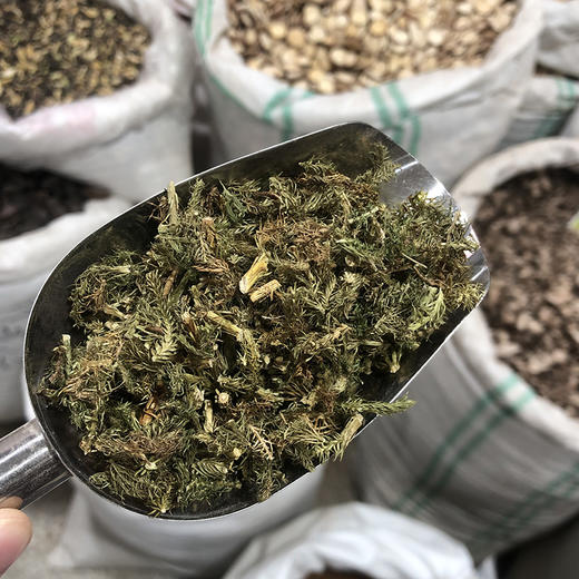 伸筋草 商品图3