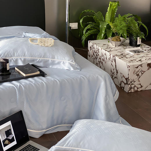 自然醒60支向晚奥地利天丝提花夏被轻奢高级感夏被四件套简约风夏天床上用品TD 商品图5