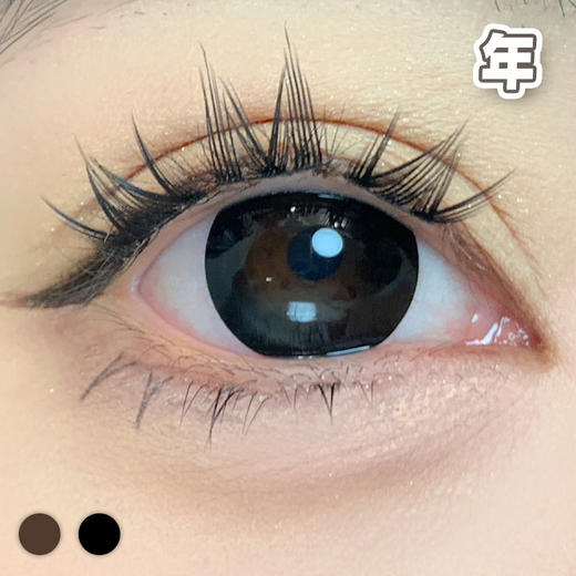 国产大直径！14.5mm 【1片装】年抛 商品图2