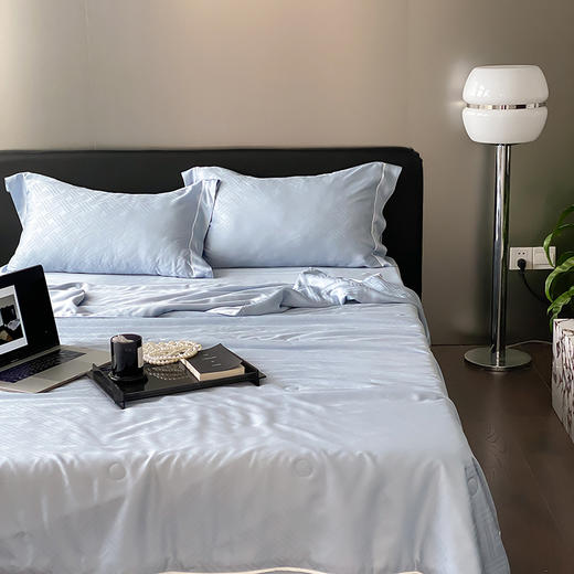 自然醒60支向晚奥地利天丝提花夏被轻奢高级感夏被四件套简约风夏天床上用品TD 商品图0